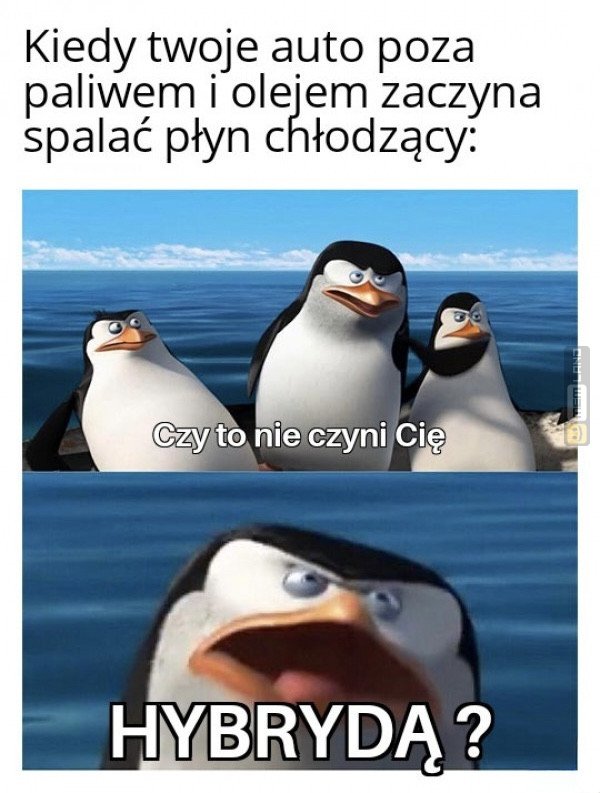 Śmieszny mem: 3959931 - MemLand