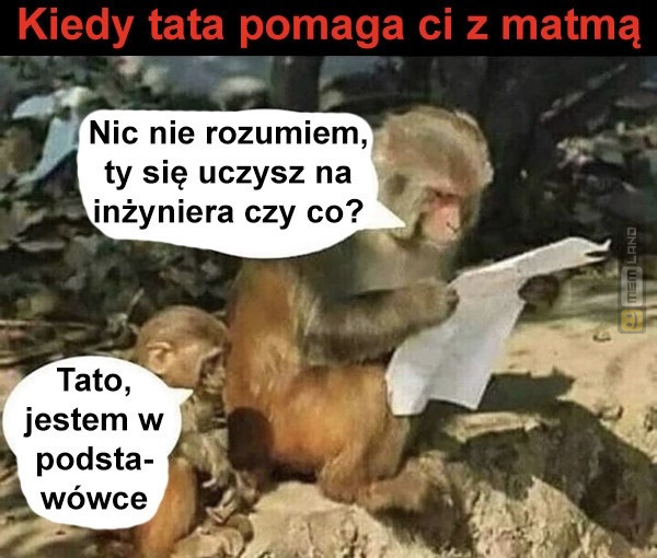 Śmieszny mem: 3960835 - MemLand