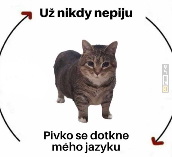 Śmieszny mem: 3965943 - MemLand