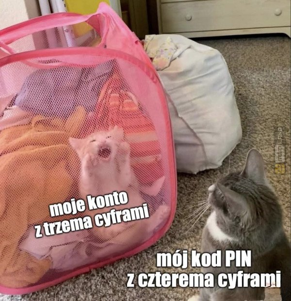 Śmieszny mem: 3968357 - MemLand