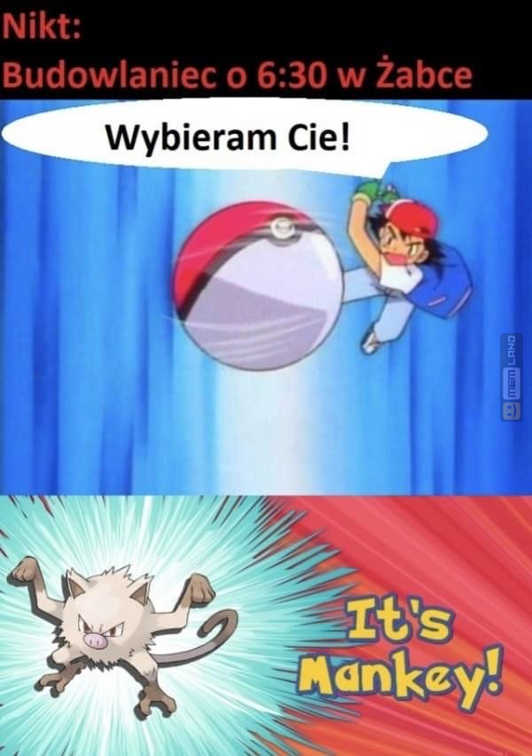 Śmieszny mem: 3969191 - MemLand