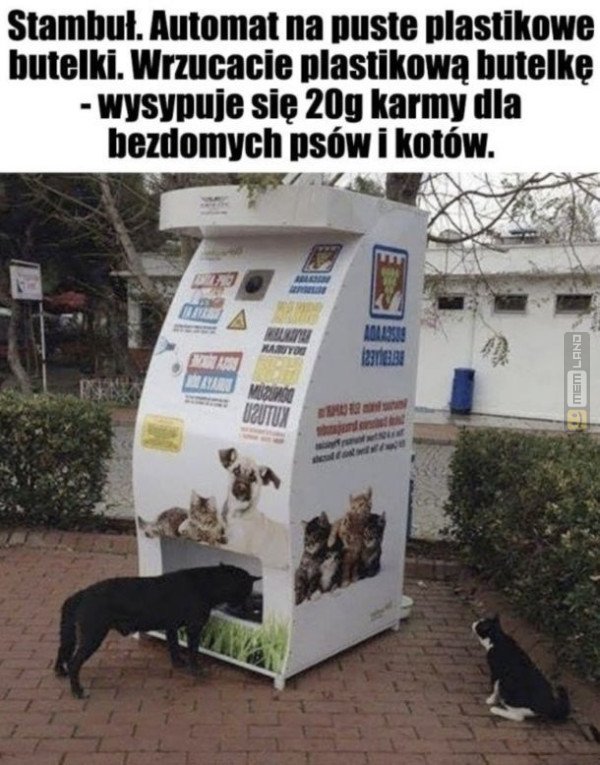 Śmieszny mem: 3969975 - MemLand