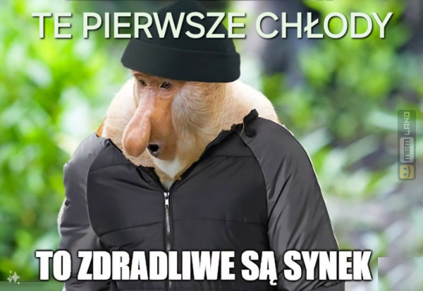 Śmieszny mem: 3977645 - MemLand