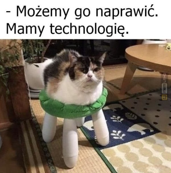 Śmieszny mem: 3980902 - MemLand