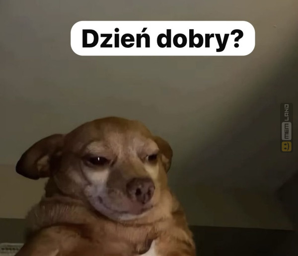 Śmieszny mem: 3980998 - MemLand