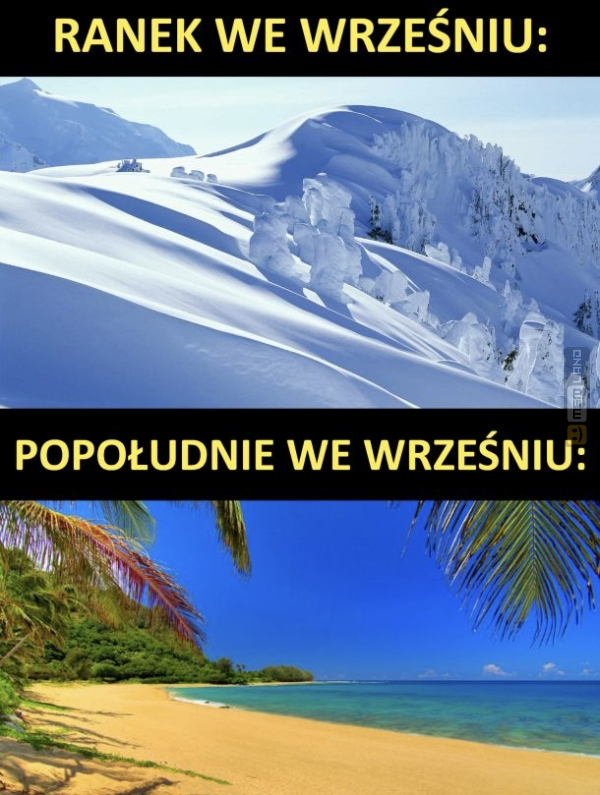 Śmieszny mem: 3981948 - MemLand