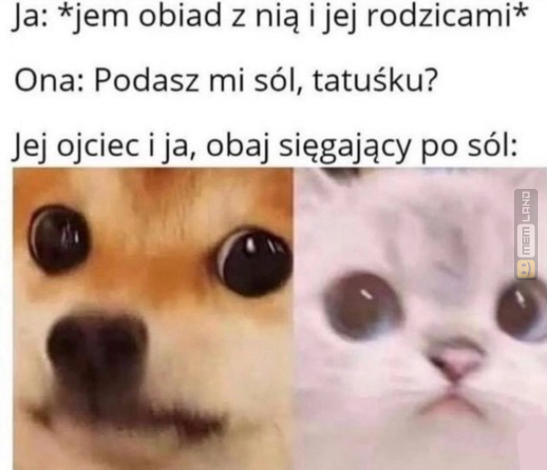 Śmieszny mem: 3999447 - MemLand