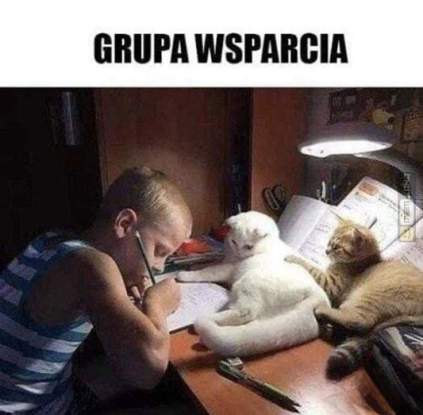 Śmieszny mem: 3999905 - MemLand