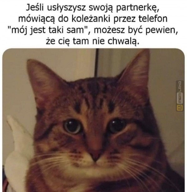 Śmieszny mem: 4005361 - MemLand