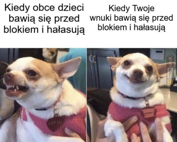 Śmieszny mem: 4009267 - MemLand