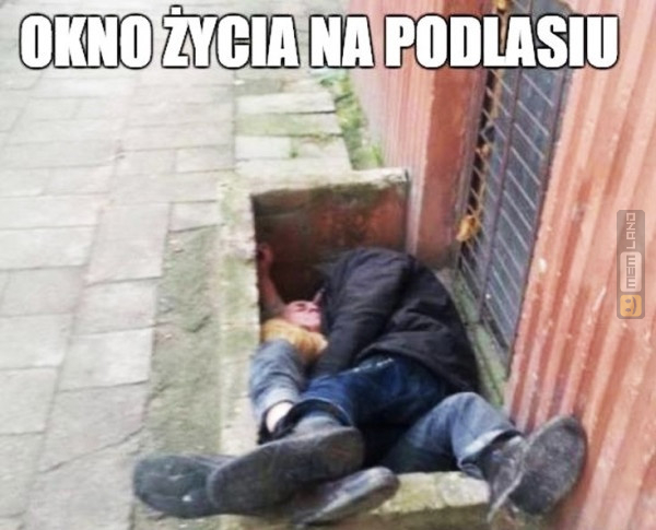 Śmieszny mem: 4010657 - MemLand