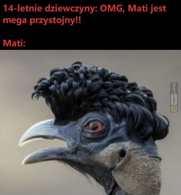 Śmieszny mem: 4018197 - MemLand