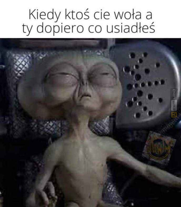 Śmieszny mem: 4020767 - MemLand