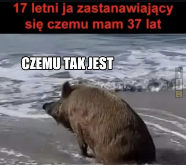 Śmieszny mem: 4034490 - MemLand