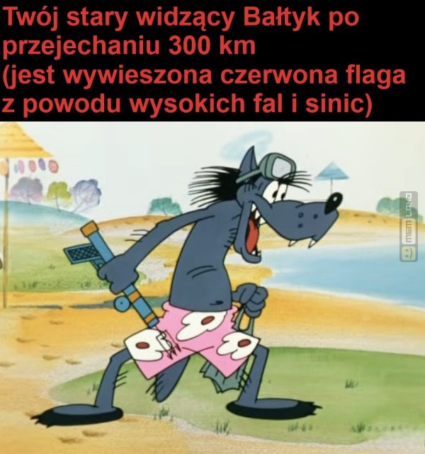 Śmieszny mem: 4036040 - MemLand