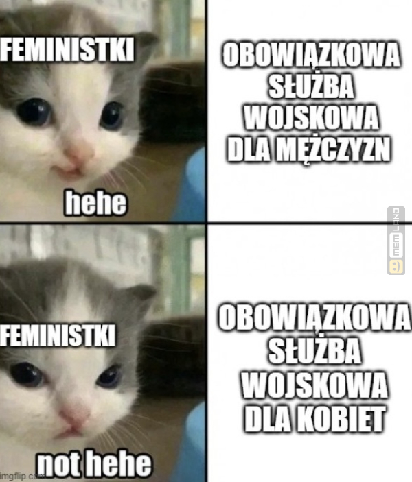 Śmieszny mem: 4041878 - MemLand