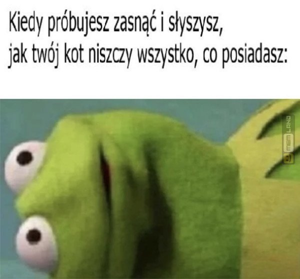 Śmieszny mem: 4048310 - MemLand