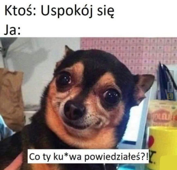 Śmieszny mem: 4053654 - MemLand