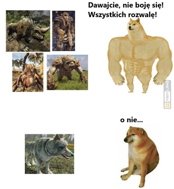 Śmieszny mem: 4059837 - MemLand