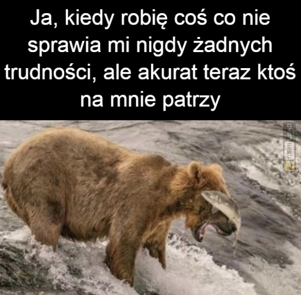 Śmieszny mem: 4067008 - MemLand