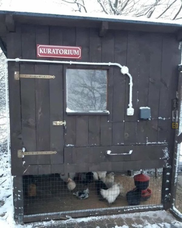 Śmieszny mem: 4067532 - MemLand