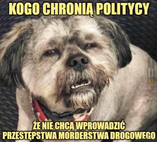 Śmieszny mem: 4078254 - MemLand