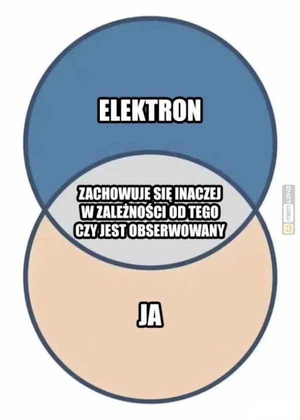 Śmieszny mem: 4098418 - MemLand