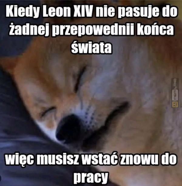 Śmieszny mem: 4100172 - MemLand