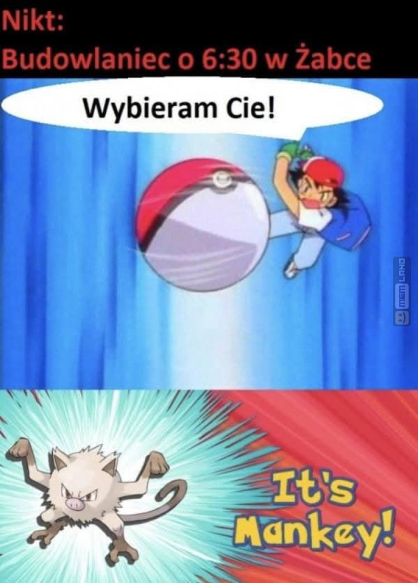 Śmieszny mem: 4102638 - MemLand