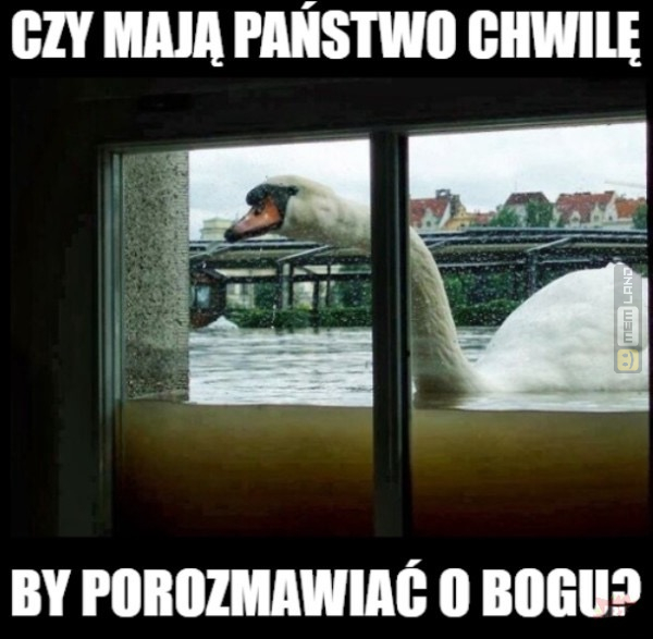 Śmieszny mem: 4119184 - MemLand