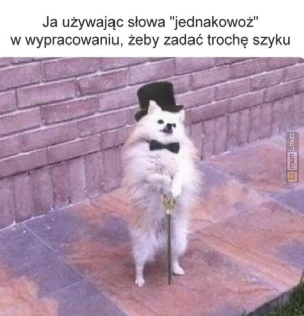 Śmieszny mem: 4122007 - MemLand