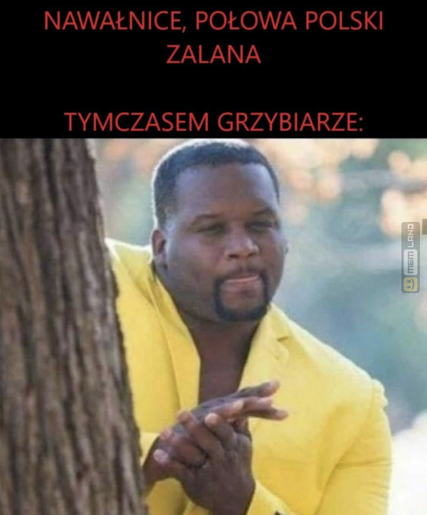 Śmieszny mem: 4126366 - MemLand