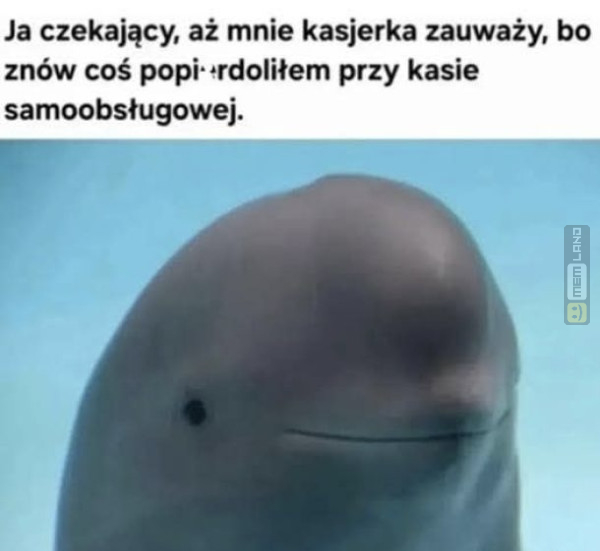 Śmieszny mem: 4131716 - MemLand