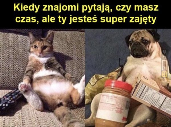 Śmieszny mem: 4138180 - MemLand