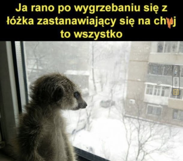 Śmieszny mem: 4138857 - MemLand