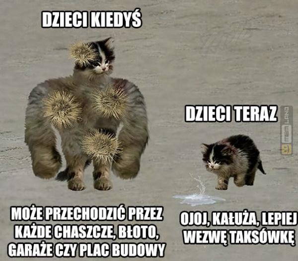 Śmieszny mem: 4157674 - MemLand