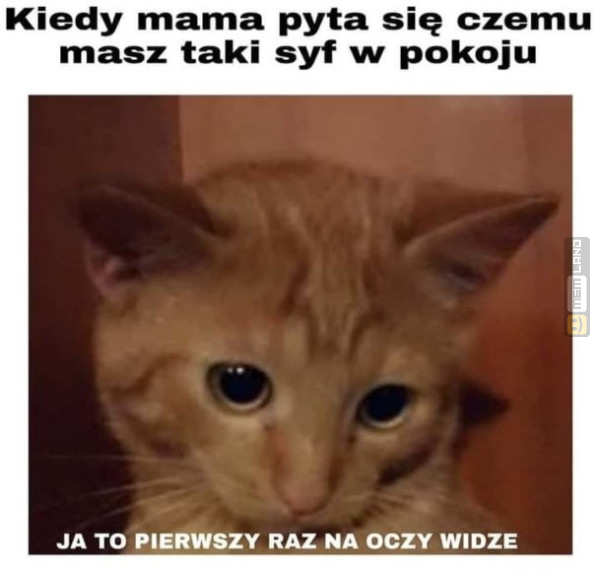 Śmieszny mem: 4158085 - MemLand