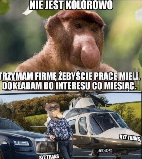 Śmieszny mem: 4169654 - MemLand