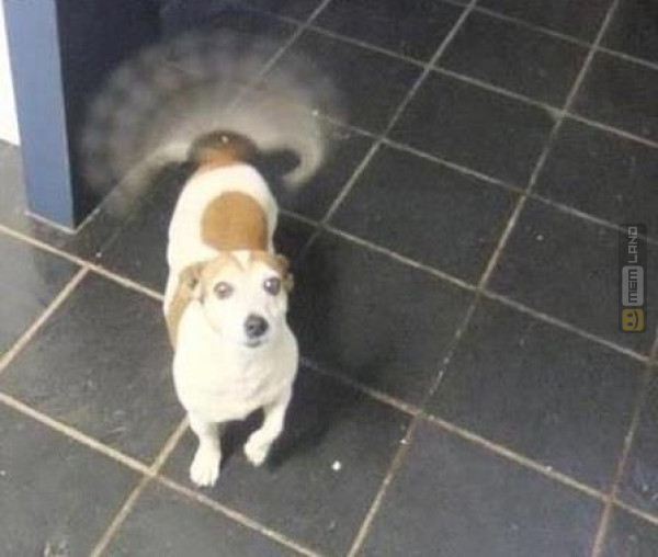 Śmieszny mem: 4169753 - MemLand