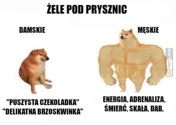 Śmieszny mem: 4178584 - MemLand