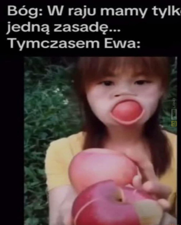 Śmieszny mem: 4181519 - MemLand