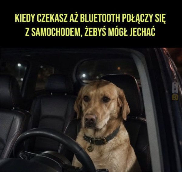 Śmieszny mem: 4190035 - MemLand