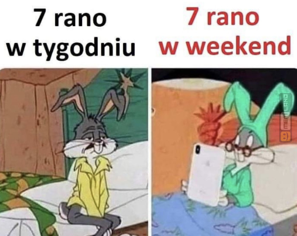 Śmieszny mem: 4198600 - MemLand