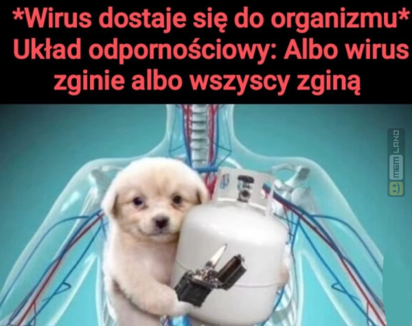 Śmieszny mem: 4203295 - MemLand