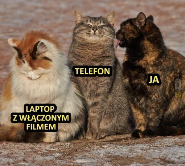 Śmieszny mem: 4206197 - MemLand