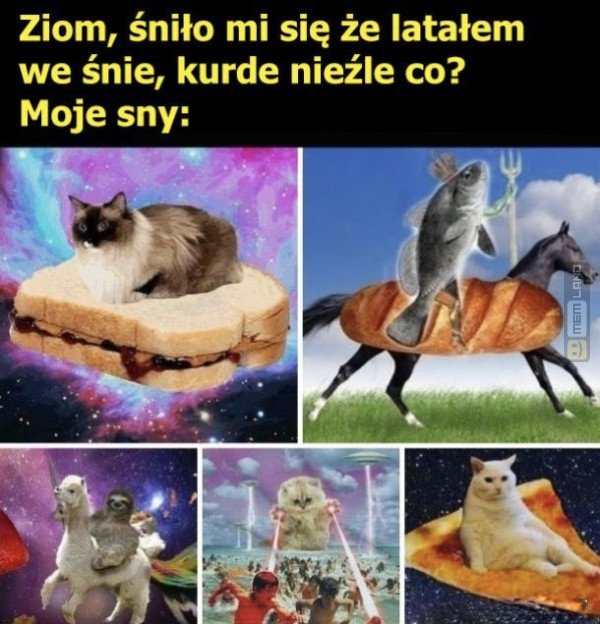 Śmieszny mem: 4213070 - MemLand