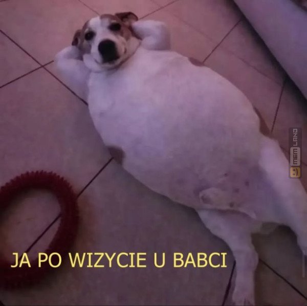 Śmieszny mem: 4222397 - MemLand