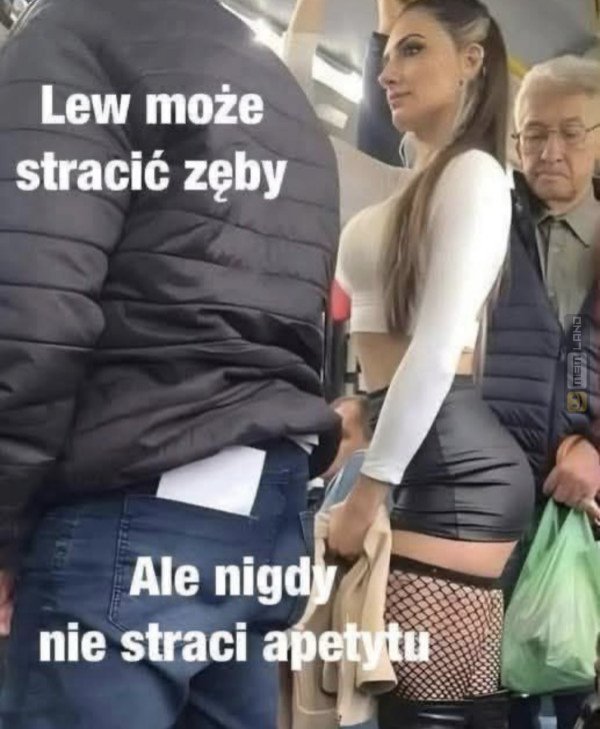 Śmieszny mem: 4224288 - MemLand