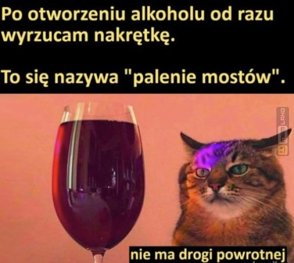 Śmieszny mem: 4235723 - MemLand