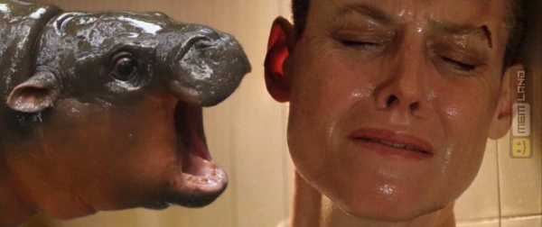 Śmieszny mem: 4236795 - MemLand